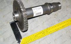 Вал с шестерней CDM855 403610D